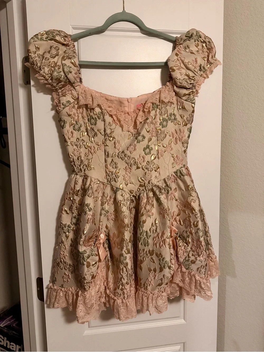 Sugar Thrillz Brocade Pink and Cream Floral Lace Puff Sleeve Dress - Picture 3 of 5